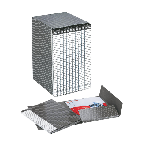 Gruppo Delso Line - 25 x 32 cm - 12 cartelle 2 lembi - con custodia - dorso 1,5 cm - Esselte